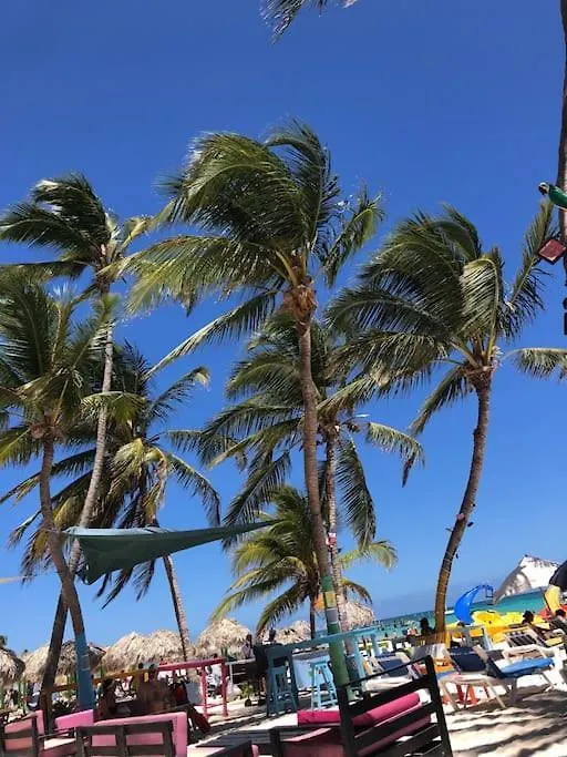 Crisfer Punta Cana Dominican Republic