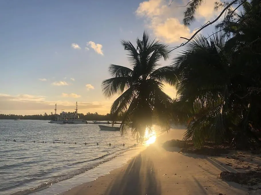 Crisfer Punta Cana 0*,